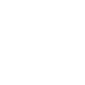 Viking Fiber Company logo