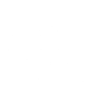 Viking Fiber Company